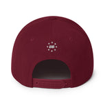 Gainsville Snapback Hat